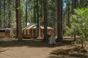 149 Creekside Dr, Camp Connell, CA 95223 - Photo 2