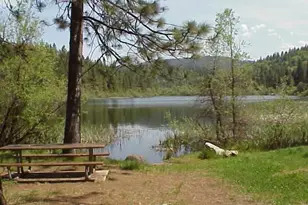 149 Creekside Dr, Camp Connell, CA 95223 - Photo 36
