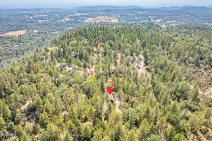 3560 Sugar View Rd, Meadow Vista, CA 95722 - Photo 40