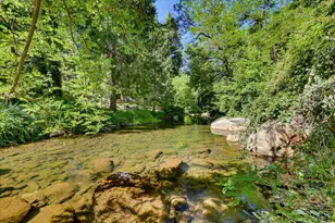 124 Grove St, Nevada City, CA 95959 - Photo 2