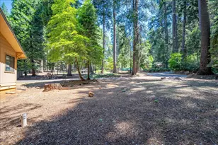 2226 Blair Rd, Pollock Pines, CA 95726 - Photo 6