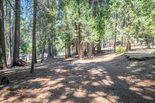 2226 Blair Rd, Pollock Pines, CA 95726 - Photo 44