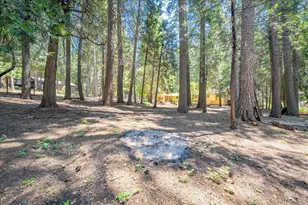 2226 Blair Rd, Pollock Pines, CA 95726 - Photo 42