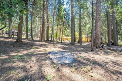 2226 Blair Road, Pollock Pines, CA 95726 - Photo 44