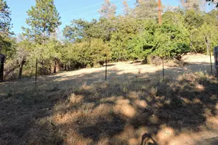 23380 Tokayana Way, Colfax, CA 95713 - Photo 38