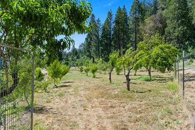 1237 Cable Road, Camino, CA 95709 - Photo 56