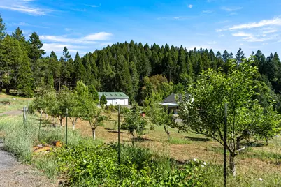 1237 Cable Road, Camino, CA 95709 - Photo 6