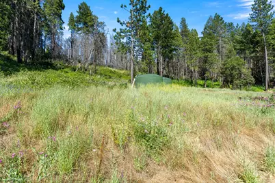 1237 Cable Road, Camino, CA 95709 - Photo 64