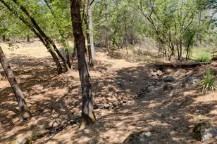 18594 Norlene Way, Grass Valley, CA 95949 - Photo 44