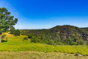 11215 Bonanza Way, Rough and Ready, CA 95975 - Photo 92