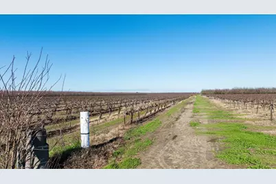 2361 Coelho Road, Manteca, CA 95336 - Photo 12
