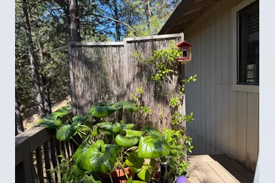 424 Catskill Drive, Colfax, CA 95713 - Photo 14