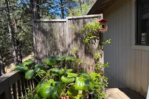 424 Catskill Dr, Colfax, CA 95713 - Photo 14