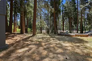 5684 Pony Express Trail, Pollock Pines, CA 95726 - Photo 56