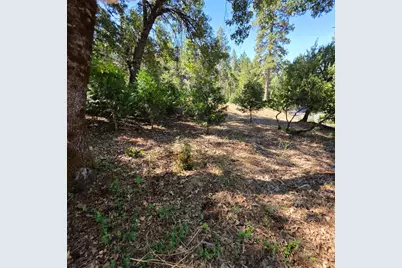 1447 Shining Moon Lane, Georgetown, CA 95634 - Photo 10