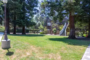 446 Bolinger Common, Fremont, CA 94539 - Photo 64