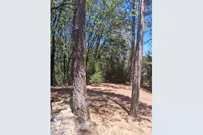 21265 N Manzanita, Colfax, CA 95713 - Photo 20