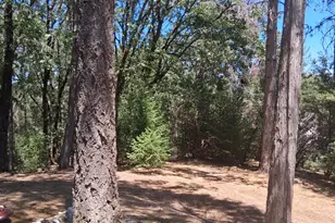 21265 N Manzanita, Colfax, CA 95713 - Photo 20