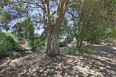 1725 Le Bec Court, Lodi, CA 95240 - Photo 44