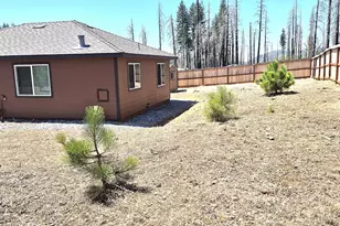 5178 Golden Aspen, Grizzly Flats, CA 95636 - Photo 4