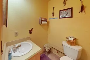 205 Silvertip Springs Dr, La Porte, CA 95930 - Photo 38