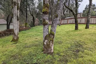 10601 Lime Kiln Rd, Grass Valley, CA 95949 - Photo 74