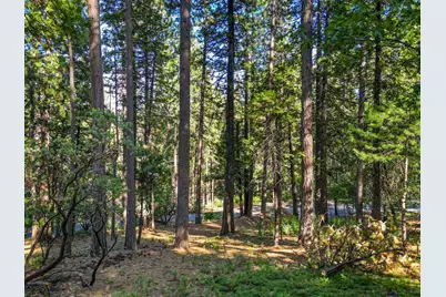 2946 Venado Drive, Arnold, CA 95223 - Photo 2