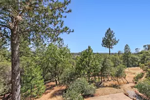 1119 Holly Leaf Ln, Meadow Vista, CA 95722 - Photo 54