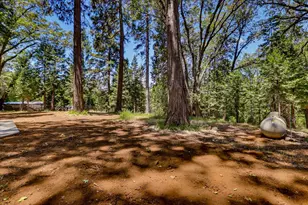 13316 Banner Lava Cap Rd, Nevada City, CA 95959 - Photo 64