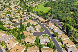 209 Strongbox Ct, Roseville, CA 95747 - Photo 44