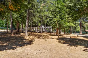 5915 Happy Pines Dr, Foresthill, CA 95631 - Photo 6