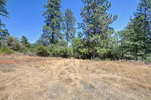 20220 Hummingbird Hill Rd, Colfax, CA 95713 - Photo 30