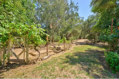 4335 Walnut Avenue, Carmichael, CA 95608 - Photo 48