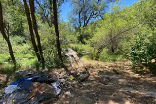 3558 Sheep Ranch Rd, Murphys, CA 95247 - Photo 2