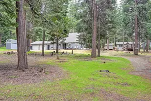 19380 Amador Ave, Pioneer, CA 95666 - Photo 2