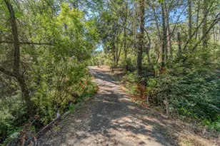 6240 Michel Rd, Mountain Ranch, CA 95246 - Photo 68