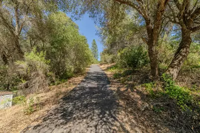 6240 Michel Road, Mountain Ranch, CA 95246 - Photo 78