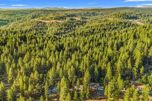 5603 Sierra Springs Dr, Pollock Pines, CA 95726 - Photo 42