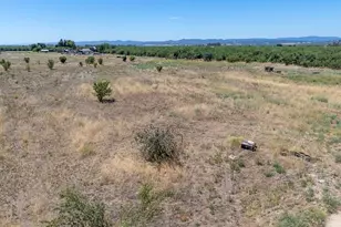 6593 Marine Ave, Arbuckle, CA 95912 - Photo 58