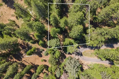 794 Ponderosa Way, Arnold, CA 95223 - Photo 2