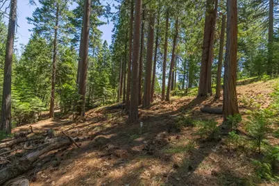 794 Ponderosa Way, Arnold, CA 95223 - Photo 10