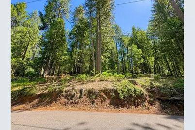 2221 Forebay Road, Pollock Pines, CA 95726 - Photo 1
