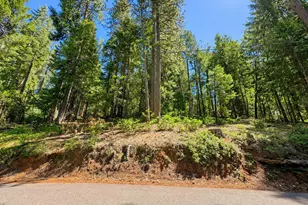 2221 Forebay Rd, Pollock Pines, CA 95726 - Photo 1