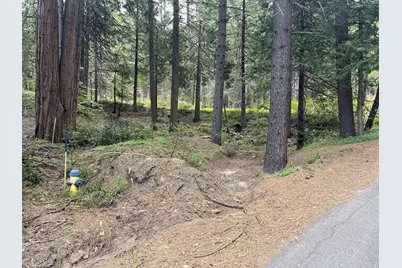 37 Iroquois Drive, Camp Connell, CA 95223 - Photo 6