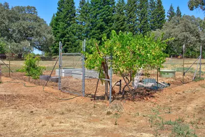 5343 Milton Ranch, Shingle Springs, CA 95682 - Photo 40
