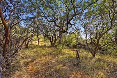17436 Black Forest Road, Penn Valley, CA 95946 - Photo 30