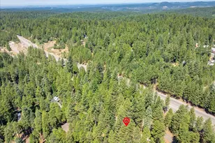 6470 Ridgeway Dr, Pollock Pines, CA 95726 - Photo 50