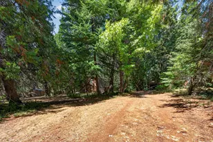5595 Reservoir Rd, Georgetown, CA 95634 - Photo 24