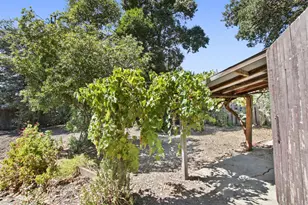 326 Mills Dr, Davis, CA 95616 - Photo 38