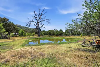 12156 Scott Grant Road, Marysville, CA 95901 - Photo 68